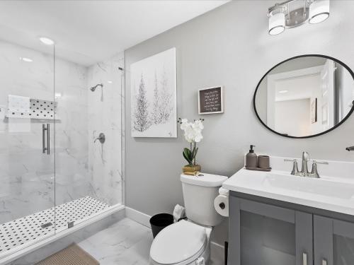 a bathroom with a shower and a toilet and a sink at Ridgefield Estate 5BED Backyard Games in Plano