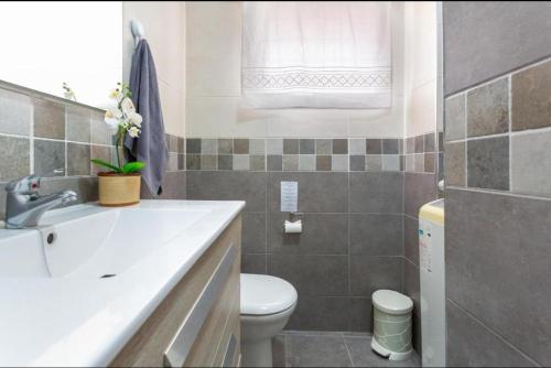 VISTA AL MAR في إيكود ذي لوس فينوس: حمام مع حوض ومرحاض