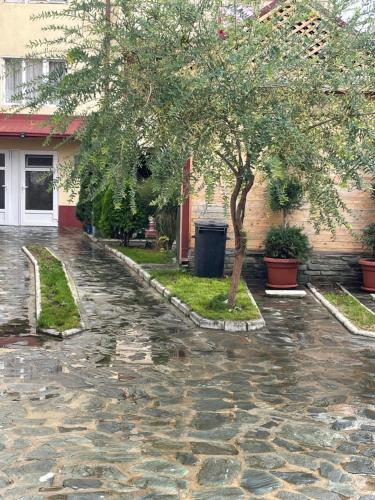 a rain soaked street with a tree and a building at TOMATO Apartment in Kriva Palanka