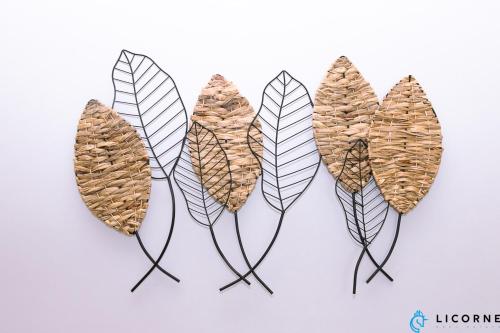 a group of feathers on display on a table at Full Moon Guesthouse in Dubai