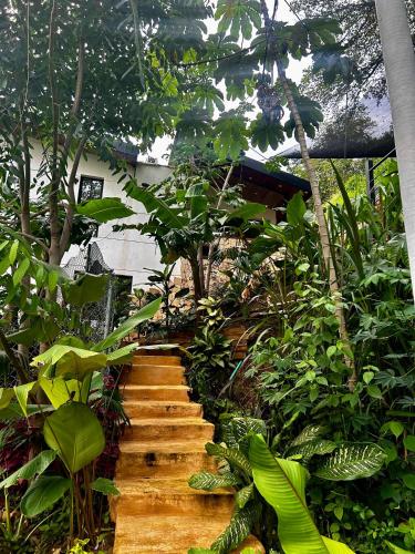a staircase in a garden with many plants at Cabaña Cedro Amarillo - moderna con jacuzzi en Sopetran, cerca de Medellín in Sopetran