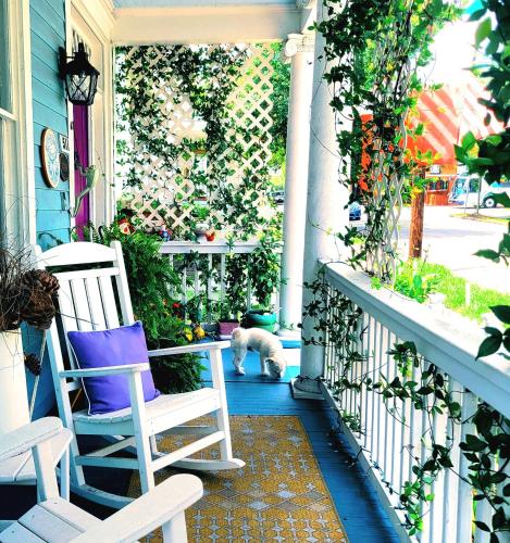 a white cat standing on a porch with two chairs at B&B Zia Gianna in Savannah