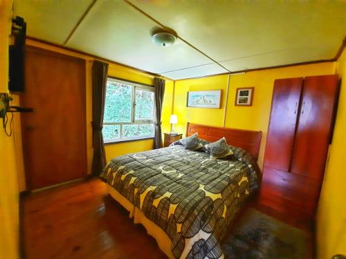 - une chambre avec un lit dans une pièce aux murs jaunes dans l'établissement Casa Colores, à Puerto Montt