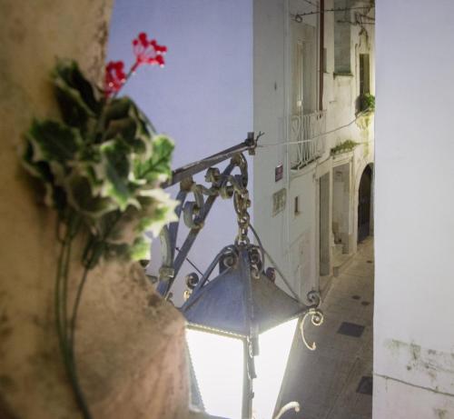 a vase with red flowers in a window at Martine Dimore Storiche di Puglia in Martina Franca