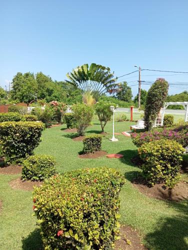 Jardin de l'établissement Villa Ludivine