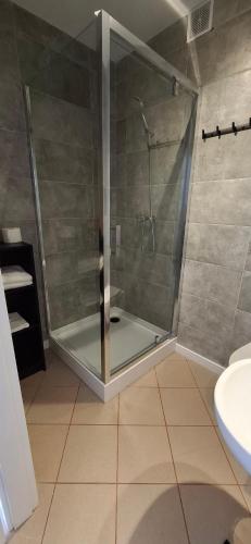 a shower with a glass door in a bathroom at Mini apartamenty Lubelska in Puławy