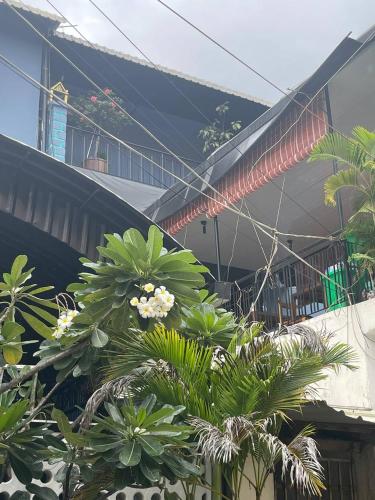 a group of plants in front of a building at Bat Chum Villa in Phnom Penh