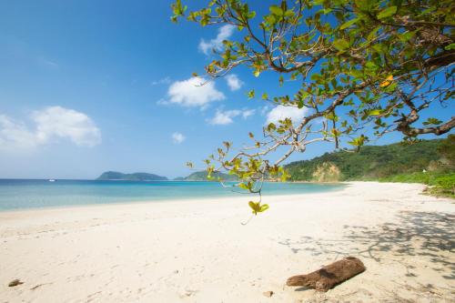 a beach with a log on the sand and the ocean at Iriomote Hotel by Hoshino Resorts in Taketomi