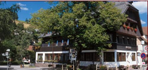 a large building with a tree in front of it at Gasthof Adler in Tennenbronn