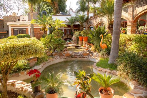 a garden with a pond with palm trees and plants at Hotel El Dorado - cerca de Chapala y del Aeropuerto in Ixtlahuacán de los Membrillos