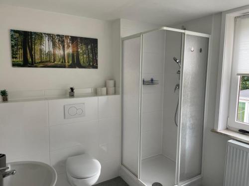 a white bathroom with a shower and a toilet at Gemütliche Appartement 4 - mit Küche und Bad zur Eigennutzung -Schuster Homes- in Alvesse
