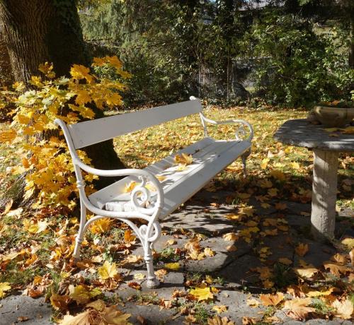 a white bench with leaves on the ground at Landhotel Pacher in Obervellach