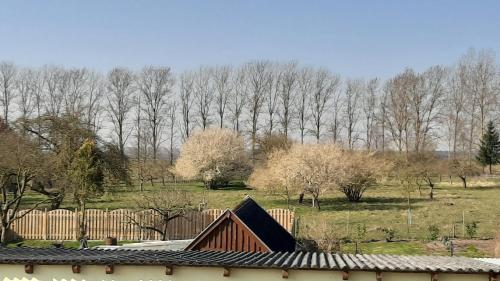 a wooden fence with trees in the background at Ferienwohnung im Zanderhaus in Sabel
