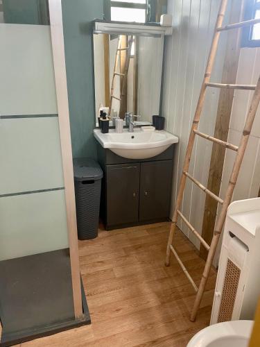 a bathroom with a sink and a ladder at Saline les bains petite maison bien aménagée calme & plage à pied in La Saline les Bains
