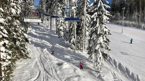 a group of people skiing down a snow covered slope at Apartmán AMALI Deluxe in Černá v Pošumaví