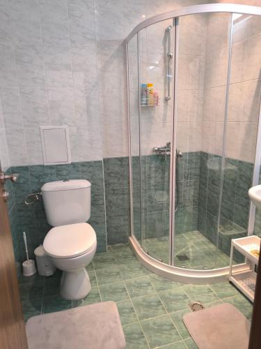 a bathroom with a toilet and a shower at Pine`s Lodge , private WiFi, free Parking in Bansko