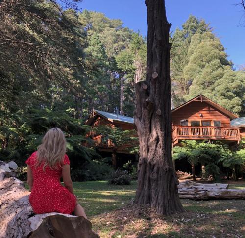 Gallery image of Chudleigh Park Cottages in Sassafras