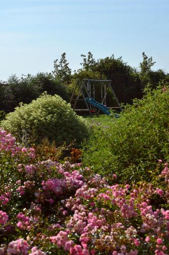a field of flowers with a playground in the background at Domaine de Kerzuat in Plouarzel