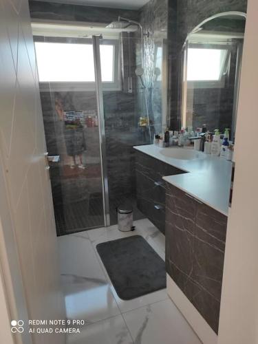 une salle de bain avec douche et lavabo dans l'établissement Grand F3 COSY proche du centre-ville, à Strasbourg