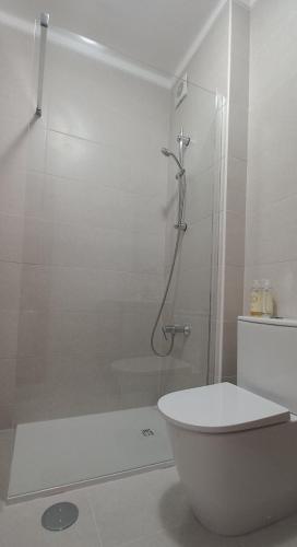 a white bathroom with a shower and a toilet at Apartamento Tomar in Tomar
