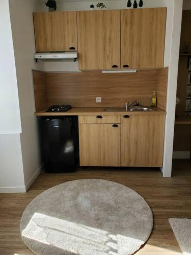 a kitchen with a sink and a rug on the floor at La Grelauderie 7 in Saintes