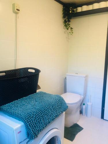 a bathroom with a toilet and a washing machine at Studio Enschede Twente - Rust, natuur & gratis parkeren in Enschede