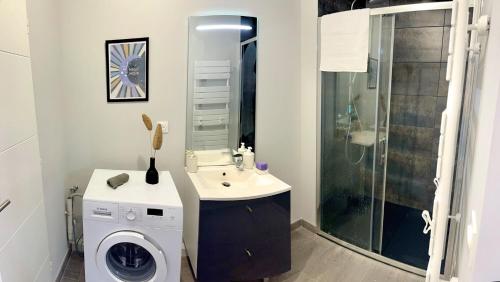 une salle de bain avec une machine à laver et un lavabo dans l'établissement Au cœur de Toulouse Appartement coloré, à Toulouse
