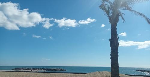 un palmier sur une plage avec l'océan dans l'établissement Villa san salvador Torreilles plage, à Torreilles
