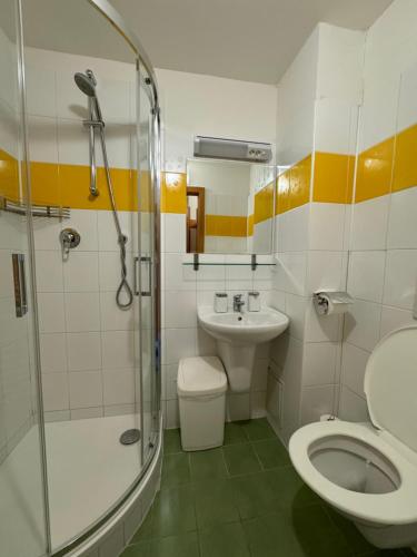 a bathroom with a shower and a toilet and a sink at bouda Pod Sněžkou in Pec pod Sněžkou