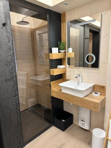 a bathroom with a sink and a shower at Villa Harmony in Koblenz
