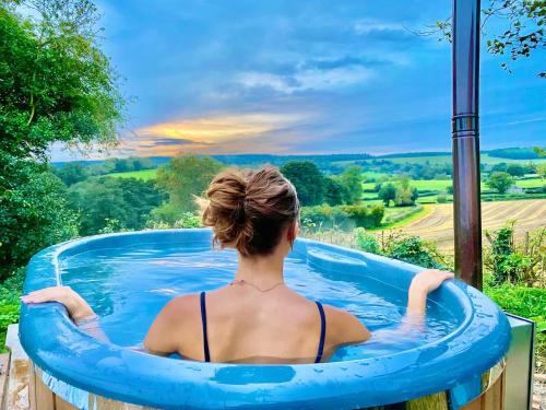 Gallery image of Romantic Nature Retreat, Luxury Glamping & Stargazing Views - Dragonfly Shepherd Hut in Leominster