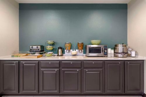 eine Küche mit einer Arbeitsplatte mit Mikrowelle in der Unterkunft Quality Inn Hamilton Bitterroot Valley in Hamilton