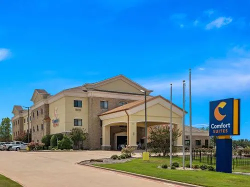 Comfort Suites Lindale in Tyler