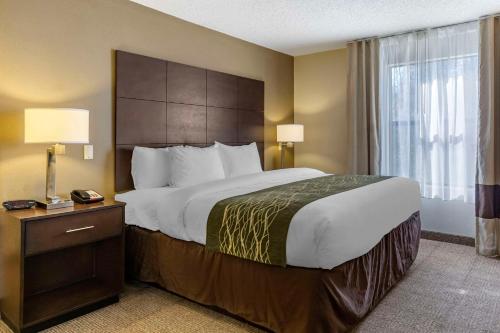 a hotel room with a large bed and a window at Comfort Inn Clinton in Clinton