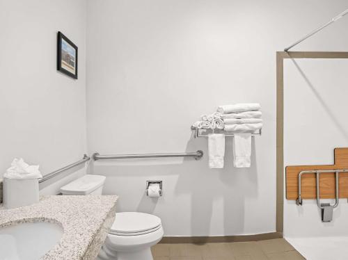 a white bathroom with a toilet and a sink at Comfort Suites Lindale in Lindale