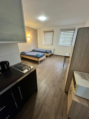 Ένα ή περισσότερα κρεβάτια σε δωμάτιο στο AlWi Apartment Braunschweig