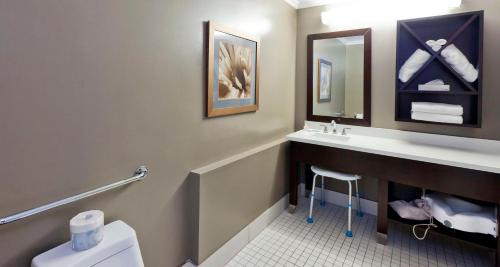 a bathroom with a toilet and a sink and a mirror at Elm Hurst Inn & Spa in Ingersoll