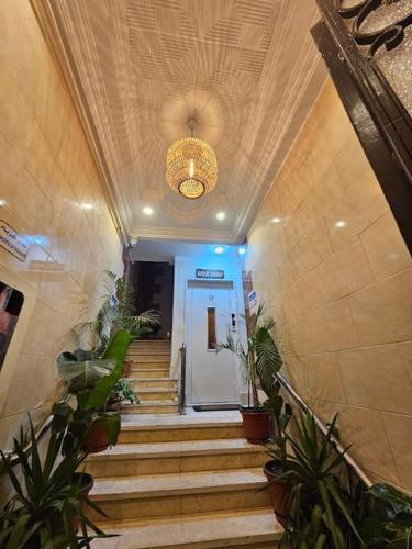 a hallway with stairs with potted plants and a ceiling at Mansoura's sweet home hotel appartment 3 in Bandar al Manşūrah