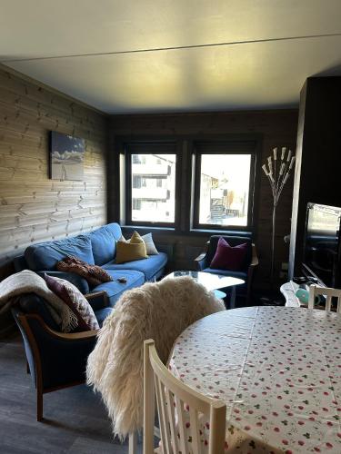 Χώρος καθιστικού στο Kozy apartment in Hemsedal, centrally located