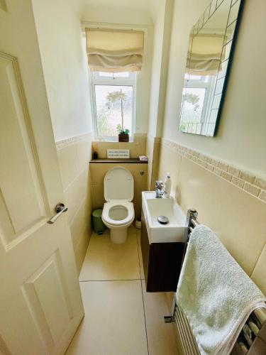a bathroom with a toilet and a sink and a window at Modern and chic rooms with beautiful landscape views in Sydenham