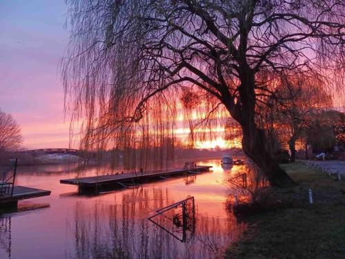 a tree sitting on the side of a river with a dock at Riverside Cottage with balcony and fishing jetty in Upton upon Severn