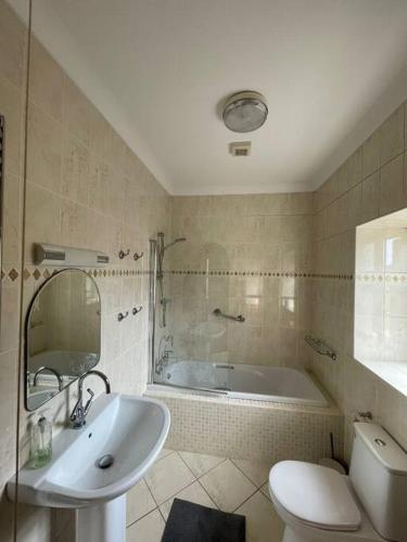 a bathroom with a tub and a sink and a toilet at Aberystwyth Dinas Cottage in Llanilar