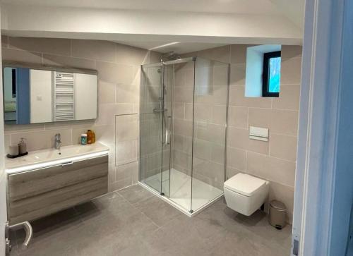 a bathroom with a shower and a toilet and a sink at Maison Neuve en Provence in Lambesc