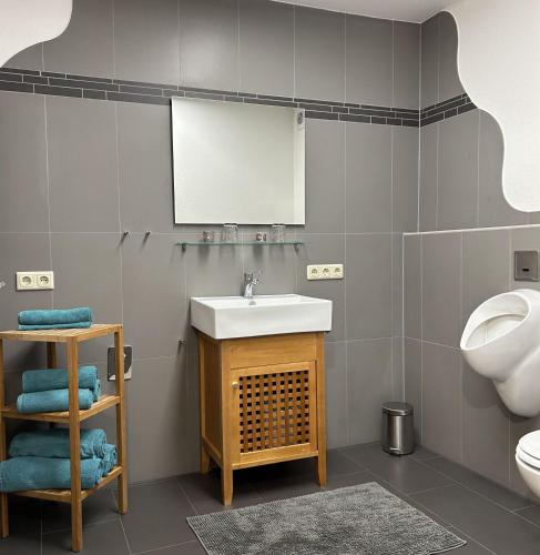 a bathroom with a sink and a toilet at Ferienwohnung Koch mit Terrasse in Riedenburg