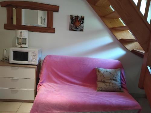 un canapé rose dans une cuisine équipée d'un four micro-ondes dans l'établissement Studio au pied de l'alpe d'huez, au Bourg-dʼOisans
