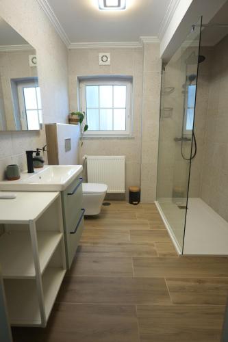 a bathroom with a toilet and a sink and a shower at Pooltugal House in São Romão