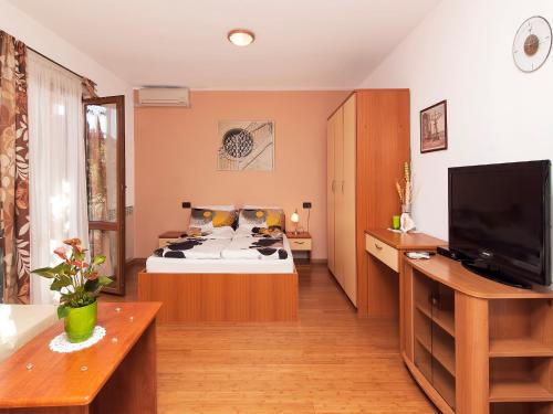 TV a/nebo společenská místnost v ubytování Apartments Cvek