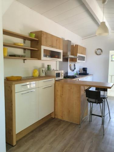 Kuchyň nebo kuchyňský kout v ubytování Studio avec jardin-Proche LDLC-Groupama Stadium-Eurexpo-métro