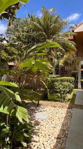 a garden with rocks and palm trees and a pathway at Brillasol Airport Hotel in Alajuela City
