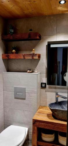 une salle de bain avec un lavabo, des toilettes et un miroir dans l'établissement Les Gets, centre Vieux Village, appartement T2 l'Eden, aux Gets